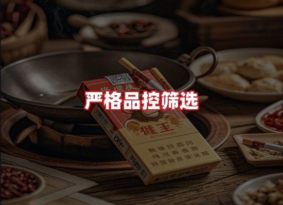 专业团队